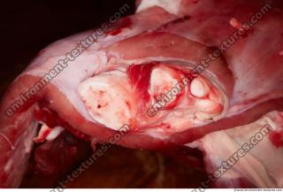 Photo Textures of RAW Beef Meat